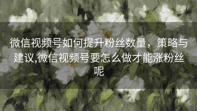 微信视频号如何提升粉丝数量,策略与建议,微信视频号要怎么做才能涨粉丝呢 微信视频号如何提升粉丝数量,策略与建议,微信视频号要怎么做才能涨粉丝呢