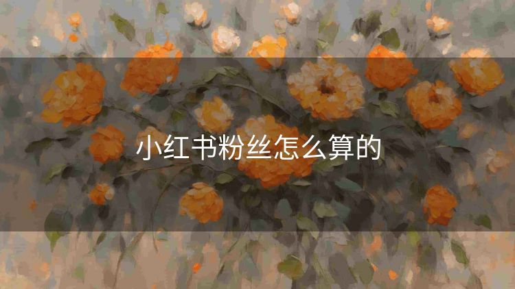 小红书粉丝怎么算的 小红书粉丝怎么算的