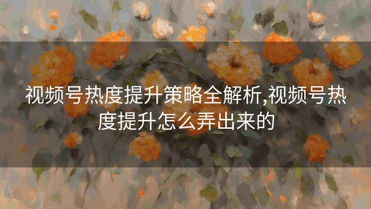 视频号热度提升策略全解析,视频号热度提升怎么弄出来的 视频号热度提升策略全解析,视频号热度提升怎么弄出来的