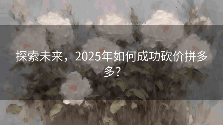 探索未来，2025年如何成功砍价拼多多？