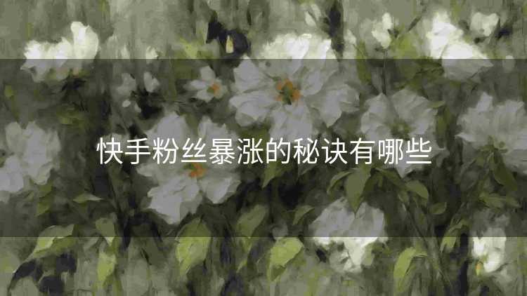 快手粉丝暴涨的秘诀有哪些