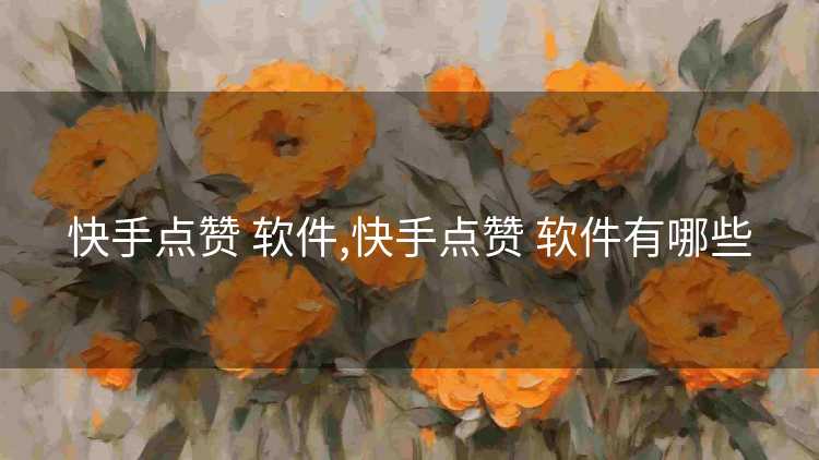 快手点赞 软件,快手点赞 软件有哪些