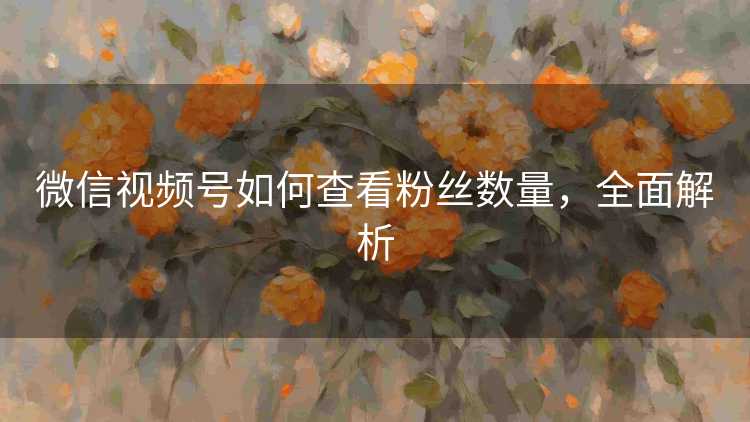 微信视频号如何查看粉丝数量,全面解析 微信视频号如何查看粉丝数量,全面解析