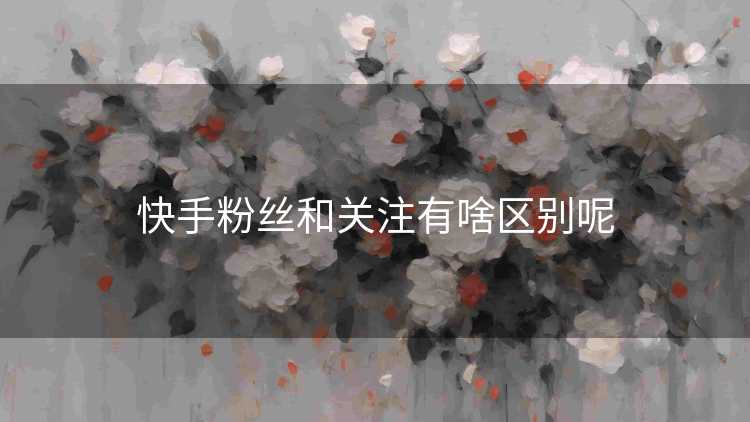 快手粉丝和关注有啥区别呢