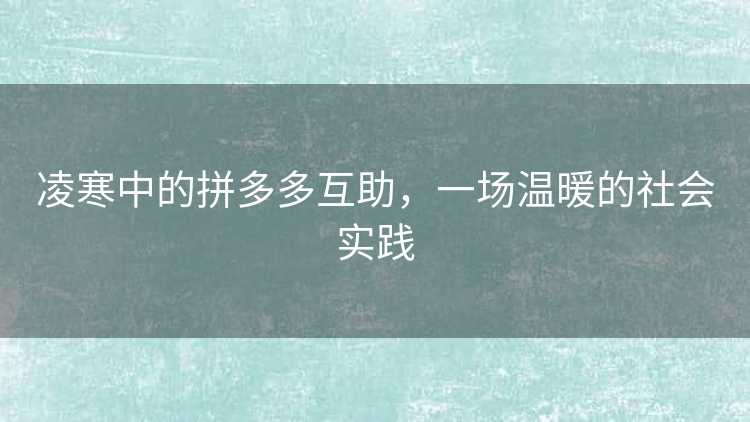 凌寒中的拼多多互助，一场温暖的社会实践