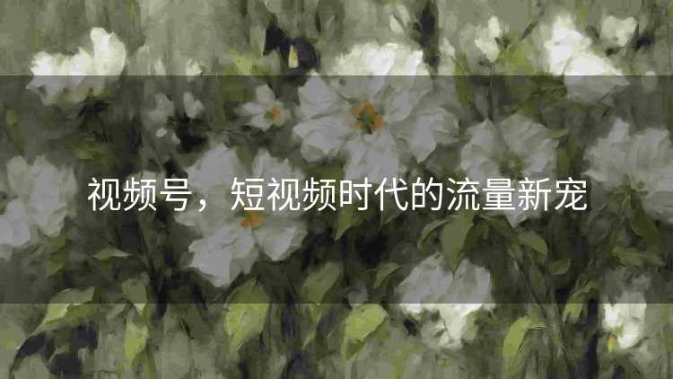 视频号,短视频时代的流量新宠 视频号,短视频时代的流量新宠