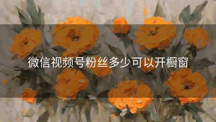 微信视频号粉丝多少可以开橱窗