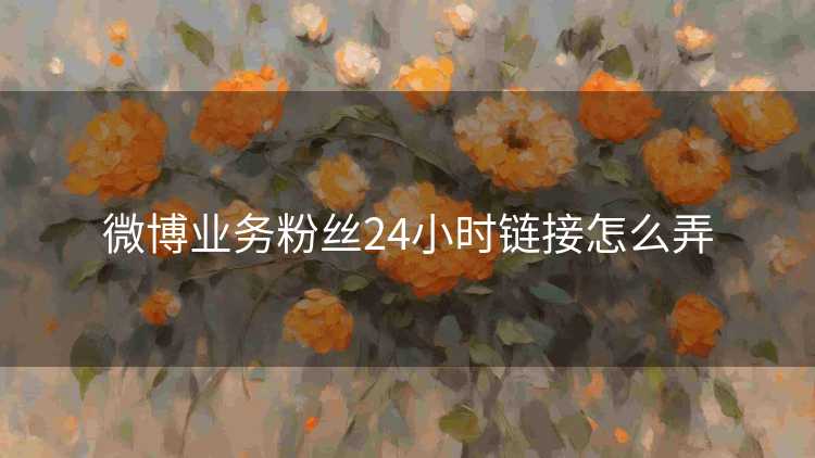 微博业务粉丝24小时链接怎么弄 微博业务粉丝24小时链接怎么弄