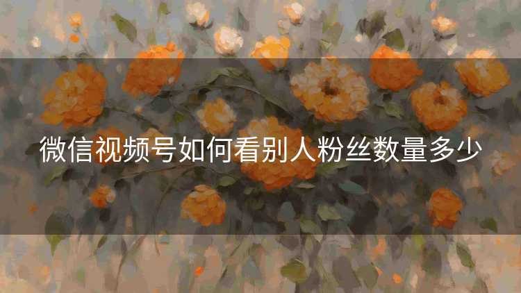 微信视频号如何看别人粉丝数量多少 微信视频号如何看别人粉丝数量多少